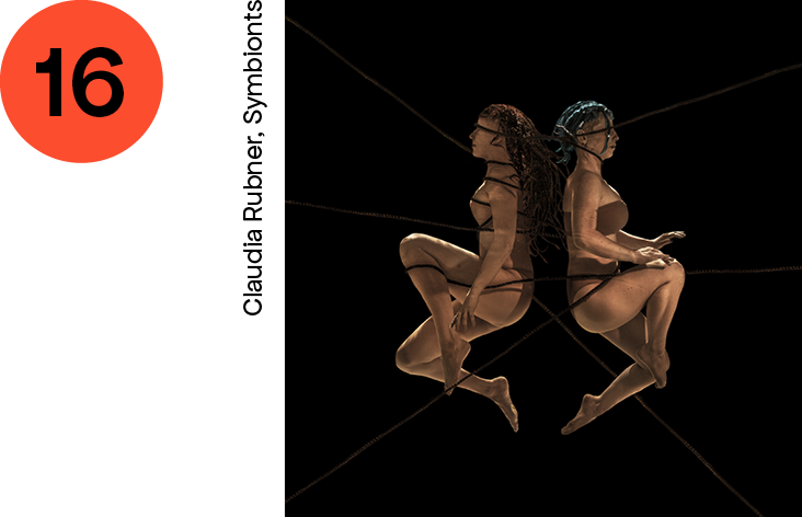 16 ARANCIONE Claudia Rubner, Symbionts.png