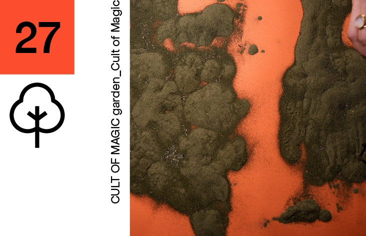 27 ARANCIONE QUADRATO + ALBERELLO Michelle Nuccio & Riccardo Molteni, Anelli di Crescita (analisi_elaborazione digitale)