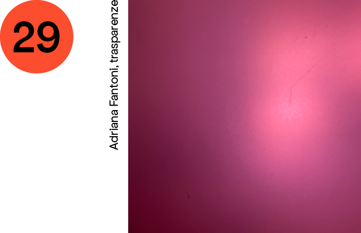 29 ARANCIONE Adriana Fantoni, trasparenze.png