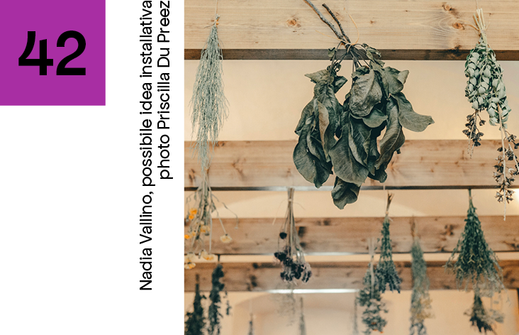 42 VIOLA QUADRATO Nadia Vallino, possibile idea installativa_photoPriscilla Du Preez.png