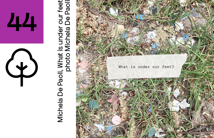 44 VIOLA + ALBERELLO Michela De Paoli, What is under our feet_photo Michela De Paoli.png